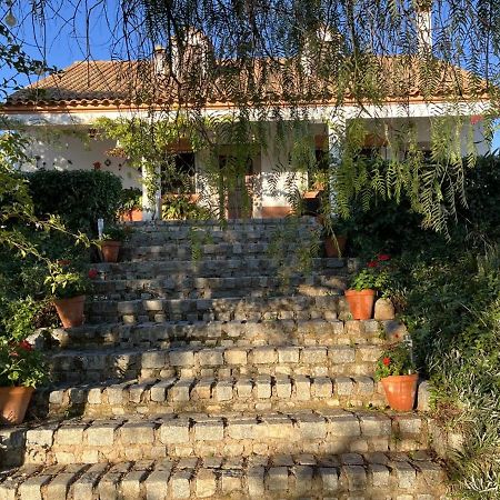 Casa Rural "El Carrasca" El Carrascalejo Eksteriør billede