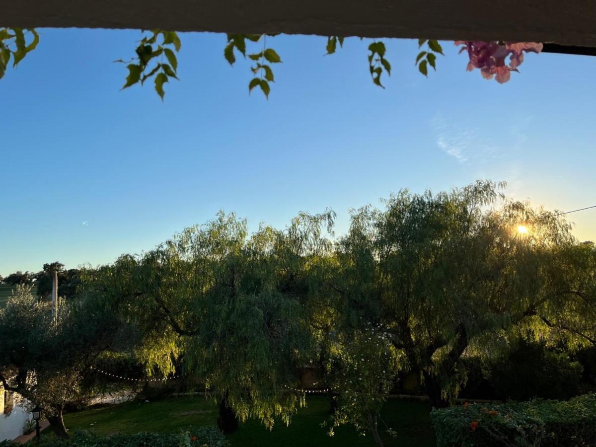 Casa Rural "El Carrasca" El Carrascalejo Eksteriør billede
