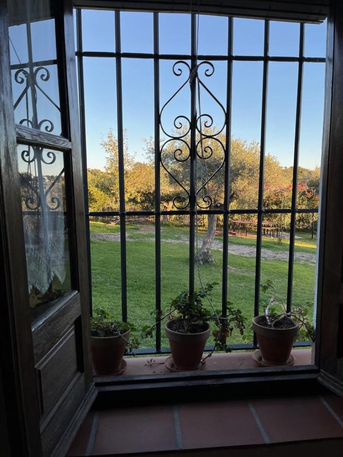 Casa Rural "El Carrasca" El Carrascalejo Eksteriør billede