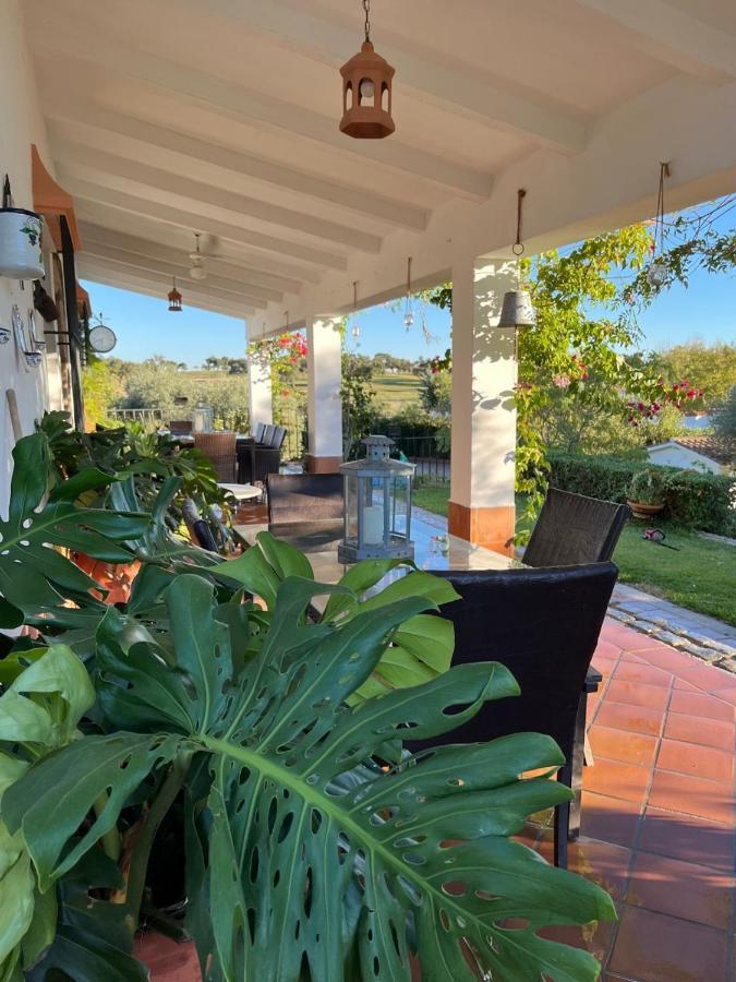 Casa Rural "El Carrasca" El Carrascalejo Eksteriør billede