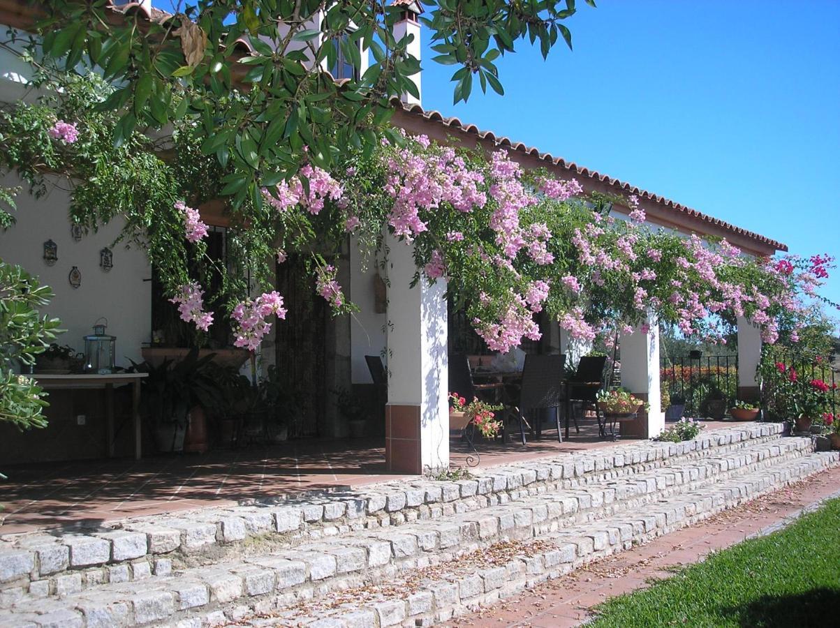 Casa Rural "El Carrasca" El Carrascalejo Eksteriør billede