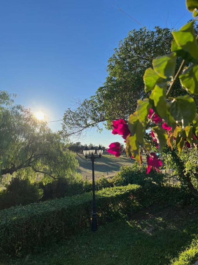 Casa Rural "El Carrasca" El Carrascalejo Eksteriør billede