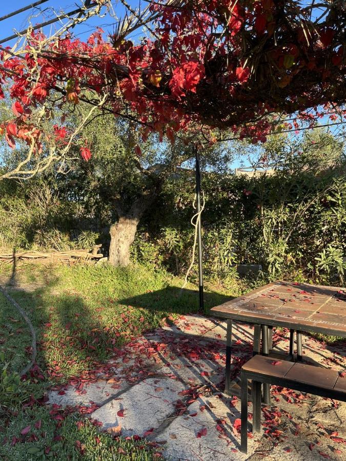Casa Rural "El Carrasca" El Carrascalejo Eksteriør billede